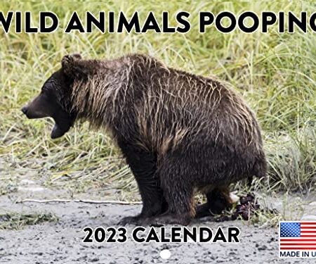 Wild Animals Pooping Funny Gag Gift Nature Calls 2021 Wall Calendar 12 Month Monthly Full Color Thick Paper Pages Folded Ready to Hang 18x12 inch