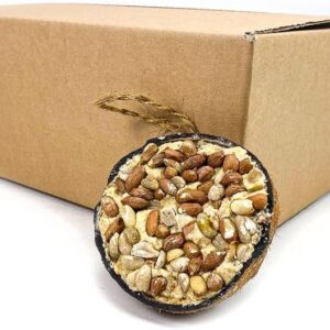 10 x Chubby Wild Bird Food Half Filled Coconuts - Topped with Peanuts