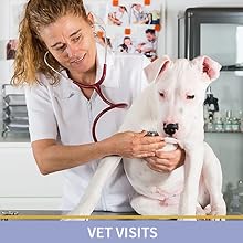 stressed dog visiting vets