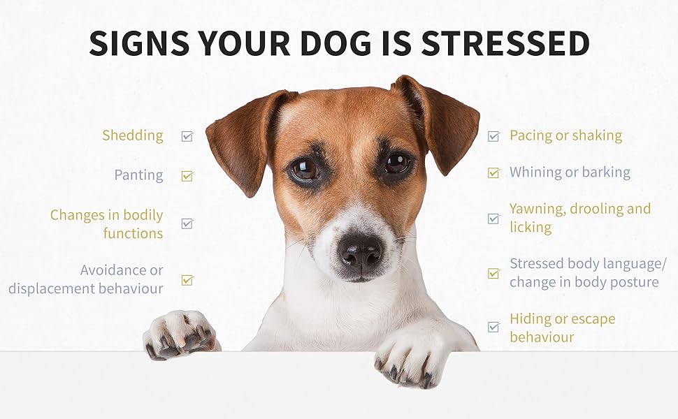 signs your dog is stressed