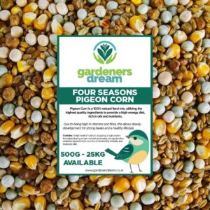 GardenersDream Four Seasons Pigeon Corn | Premium Grade Natural Food Mix | Rich in Nutritious Oils, Vitamins and Minerals | Perfect Year-Round Wild Bird Seed Feed | High in Energy & Protein (2.5kg)