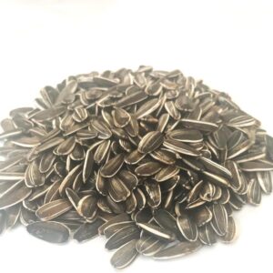 500g SMALL SUNFLOWER SEED MIXED CAGE BIRD FOOD SMDS