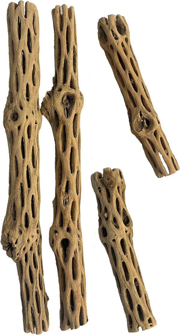 Awesome Aquatic Natural Cholla Choya Wood Combo 4 Pieces 2-12" & 2-6” Habitat for Shrimp Hermit Crabs Plecos Reptiles Aquarium Driftwood Decoration Lowers pH Hideouts and Food Treat Chew Toy Organic