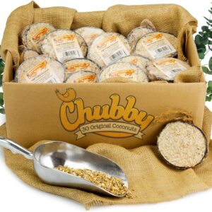 Chubby Suet Filled Coconuts Halves Coconut Feeders Food For Wild Birds - Box of 30