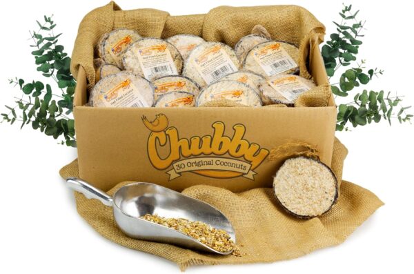 Chubby Suet Filled Coconuts Halves Coconut Feeders Food For Wild Birds - Box of 30