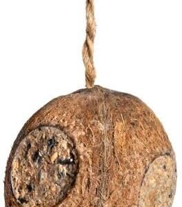 Erdtmann Vegan Stuffed Coconut for Wild Birds - Pack of 1 Coconut Halves for Birds - Ideal for Year-Round Feeding and Easy Food Intake