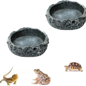 NA 2 Pcs Reptile Food Bowl, Reptile Feeder Pet Aquarium Ornament Terrarium Feeder, Resin Dish Lizard Feeder Food Bowl Rock Food Water Dish for Tortoise Lizard Chameleon Gecko