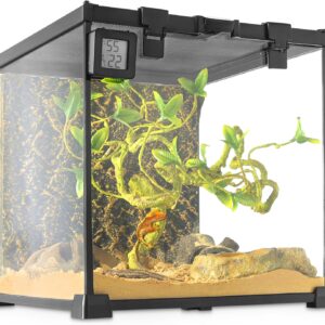 NEPTONION Mini Reptile Glass Terrarium Vivarium 12'' x 12'' x 12'' Full View Tank Small Amphibians Glass Habitat Cage with Feeding Slot & Box Lock Buckle