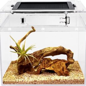 Reptile Growth Mini reptile tank（PC）,8" x 8"x 8" vivarium with Top Sliding Door Screen Ventilation for Small Fish,Insect,Snail,Gecko，Tarantula,Bearded Dragon,Jumping Spider,Stick Insect