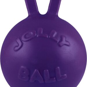 Jolly Pets Tug-n-Toss Heavy Duty Dog Toy Ball with Handle, 4.5 Inches/Small, Purple