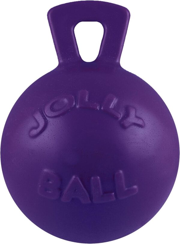 Jolly Pets Tug-n-Toss Heavy Duty Dog Toy Ball with Handle, 4.5 Inches/Small, Purple