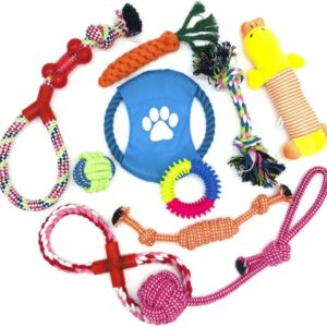 Wefine Dog Toys Puppy Chew Toys from 8 Weeks,Dog Rope Toys 100% Natural Cotton Rope for Small and Medium Dog (10 PCS)