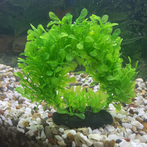 Image of a hoop wreath artificial plant for aquariums and fish tanks