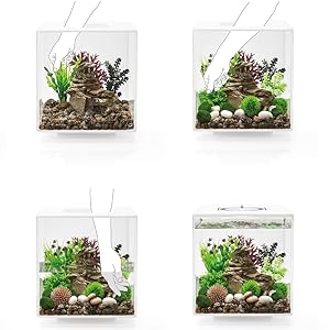 biorb decor ornaments plants fish tanks decor