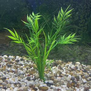 An image of a fish tank artifical plant