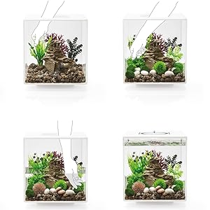 biorb decor ornaments plants fish tanks decor