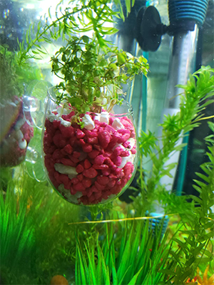 aquarium decorations plants pot