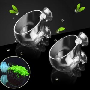 capetsma 2X Crystal Glass Aquatic Plant Pot, Planter, Red Shrimp Live Plants Fish Tank Holder with 4X Suction Cups for Aquarium Aquascape Decoration…