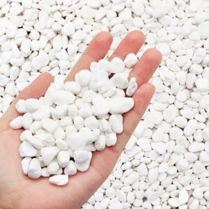 Aleker White Decorative Natural Pebbles, 1.2cm/0.47 inch Mini Assorted Pebble Stones,Mixed River Gravel for Vase Filler, Plant Pots, Landscaping, Aquariums, Home and Garden