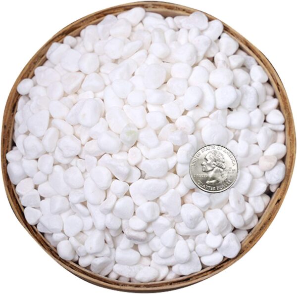 Hisredsun 3.96 lb White Decorative Stones,0.23-0.35in Natural Gravel Rocks for Plant Pots,Small River Rocks for Landscaping, Vase Fillers,Succulents,Aquarium and Garden Decoration