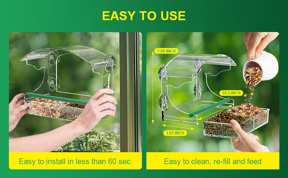 window bird feeder uk