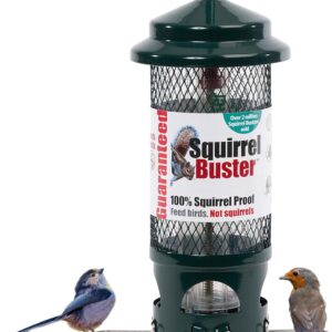 Squirrel Proof Bird Feeder for Seeds - Jacobi Jayne® Squirrel Buster® Seed Bird Feeder – Pigeon Proof Metal Bird Seed Feeder for Wild Birds – Easy Clean Hanging Seed Bird Feeder for Garden Birds