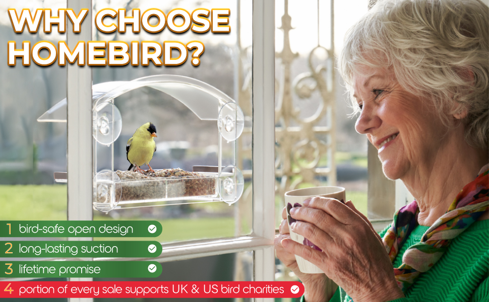 window bird feeder uk