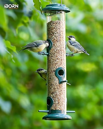 bird feeder