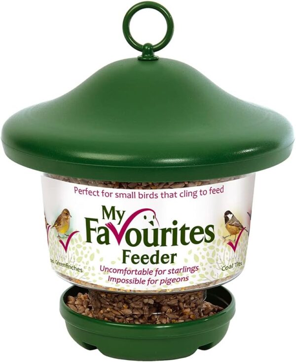 Hanging Lantern Garden Bird Feeder - My Favourites - Easy fill, rainproof roof, green