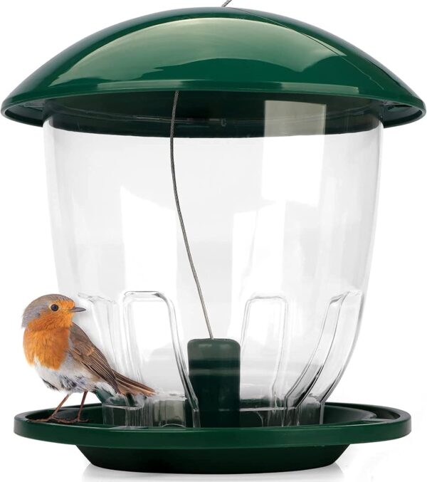 Wildlife Friend - XXL Bird Feeder - 4 L Capacity for Seeds - Bird Feeding Station For Small and Wild Birds, Titmouse, Sparrows and Other Garden Birds - Hanging Bird Feeder-squirrel proof bird feerder