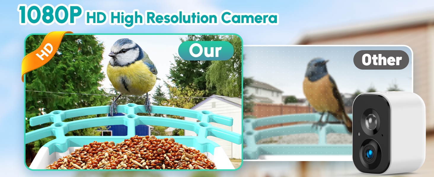 BF003 Bird Feeder Camera