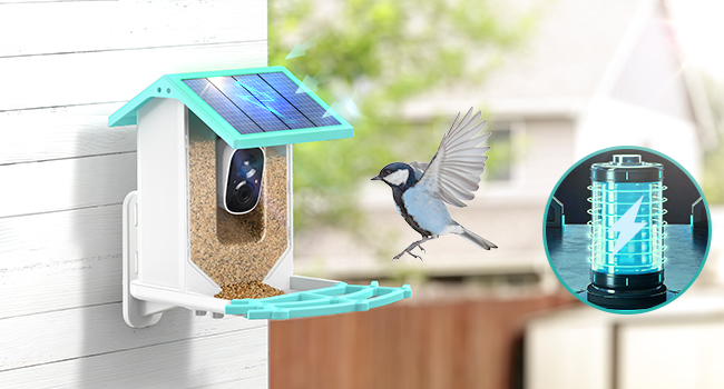 BF003 Bird Feeder Camera