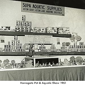 Harrogate Pet &amp;amp;amp;amp;amp;amp;amp;amp;amp;amp; Aquatic Show 1961