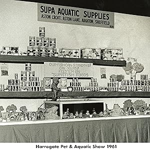 Harrogate Pet &amp;amp;amp;amp;amp;amp;amp;amp;amp;amp;amp;amp;amp;amp;amp;amp; Aquatic Show 1961