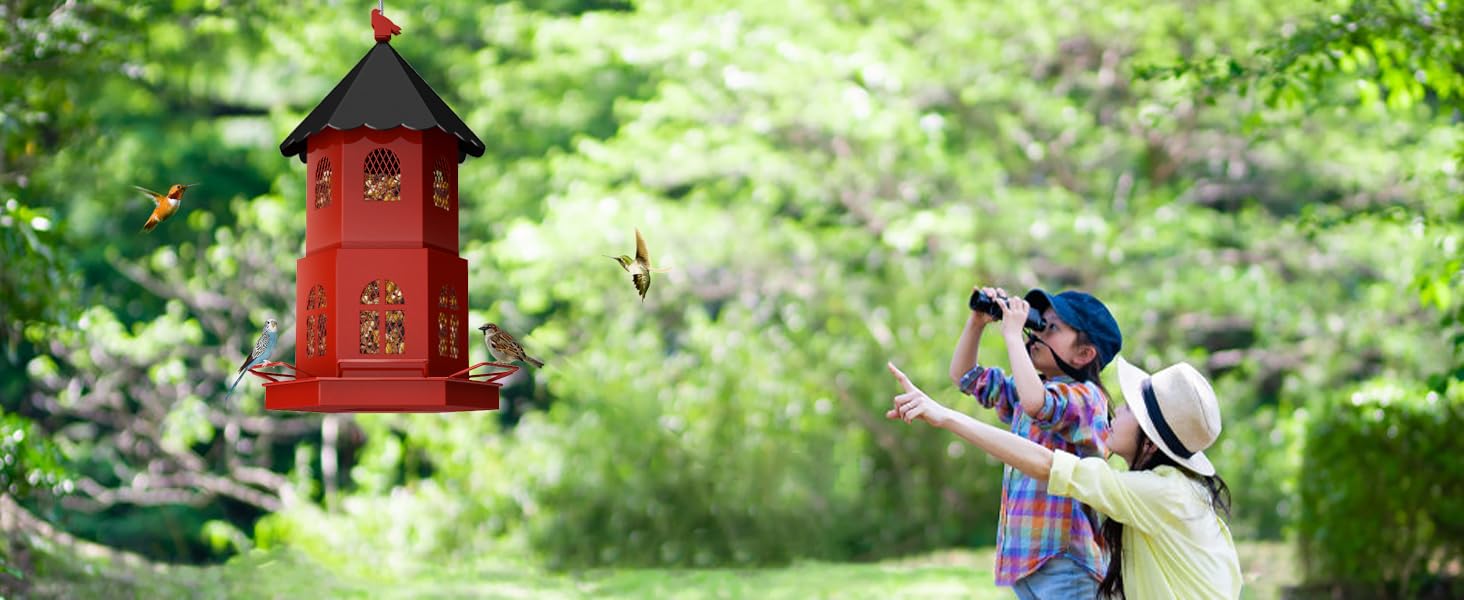 wild bird feeders