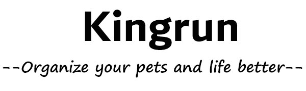 Kingrun