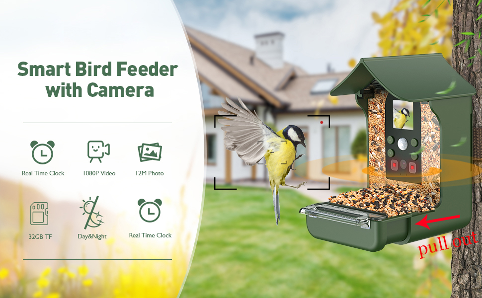 smart bird feeder