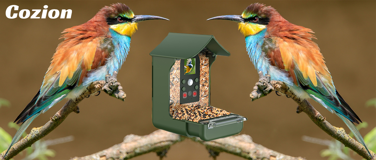 bird feeder