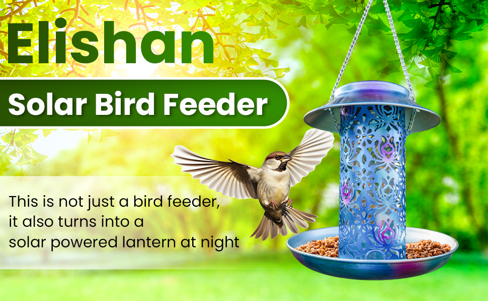 Bird feeder, solar power, lantern