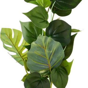 Fluval Anubias Plant for Aquarium, 12-Inch