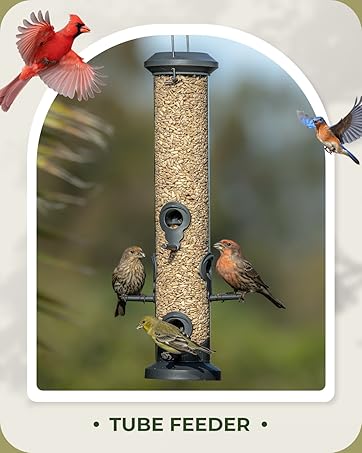 tube bird feeder