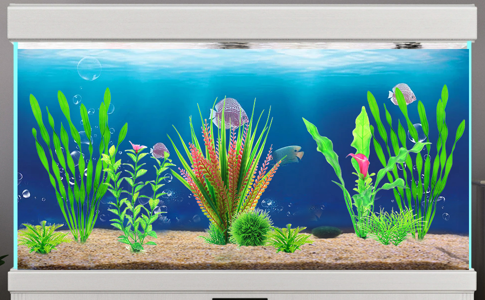 fish tank plants