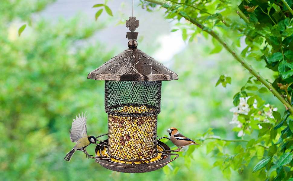 CHARMING WILD BIRD FEEDER: