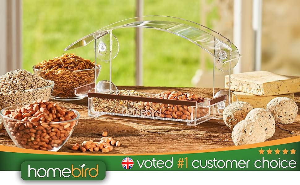 suction cup bird feeder 