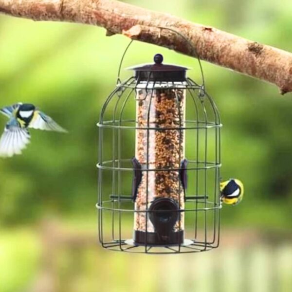 garden mile Wild Bird Feeders for Seeds, Hanging from Trees, Decking or Bird Food Stations in your Garden Outdoor, Enjoy Watching Birds Feeding Wonderful Wildlife and Nature (Caged Feeder)