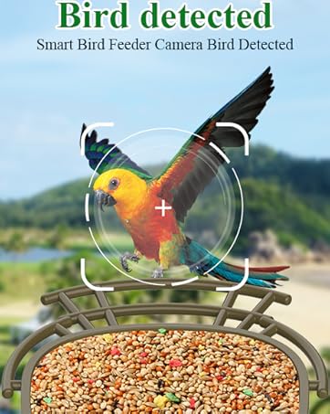 smart bird feeder with camera