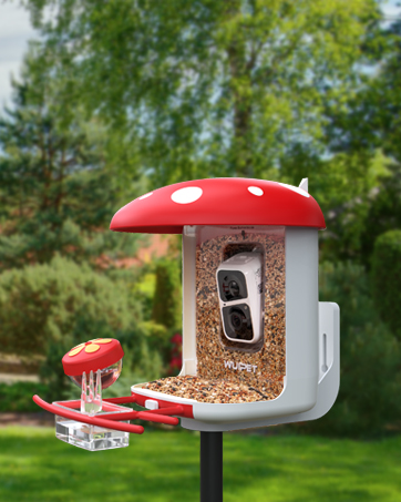 bird feeder with camera