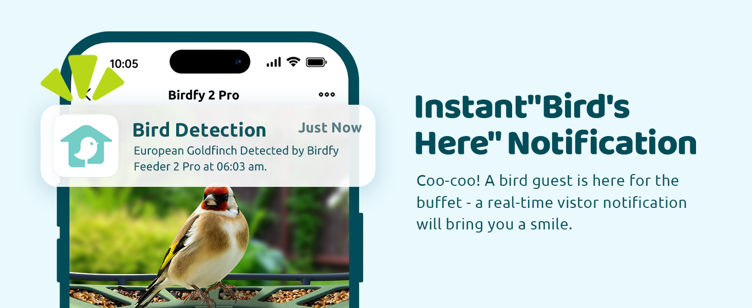 Bird Detection and Notification