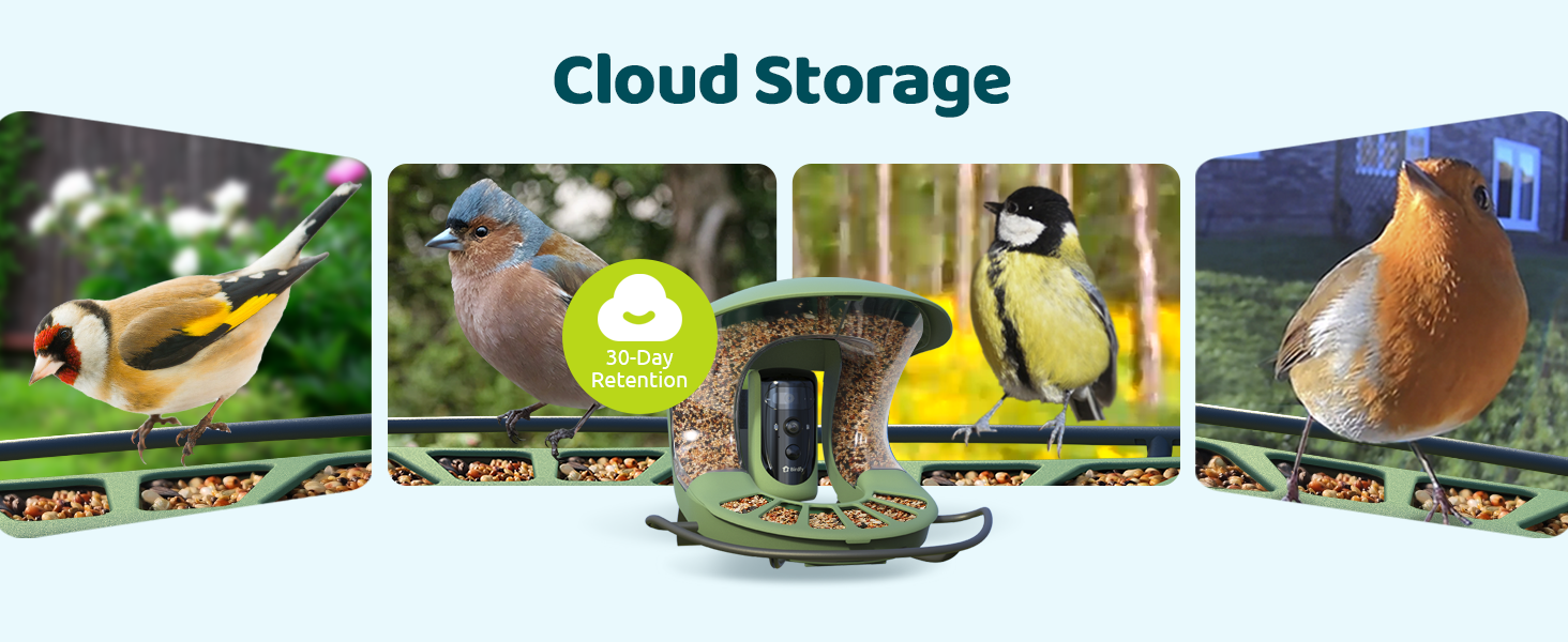 Birdfy Feeder 2 Cloud Storgae