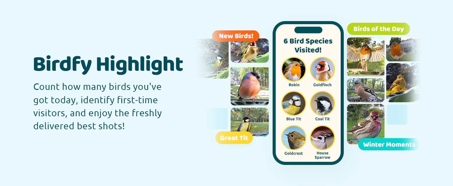 Birdfy Feeder 2 Highlight